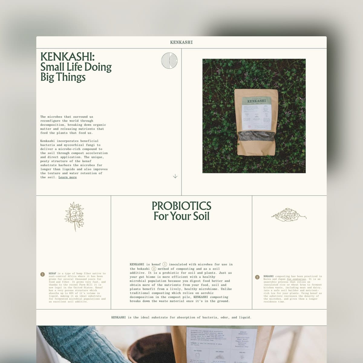 Color Scheme reference